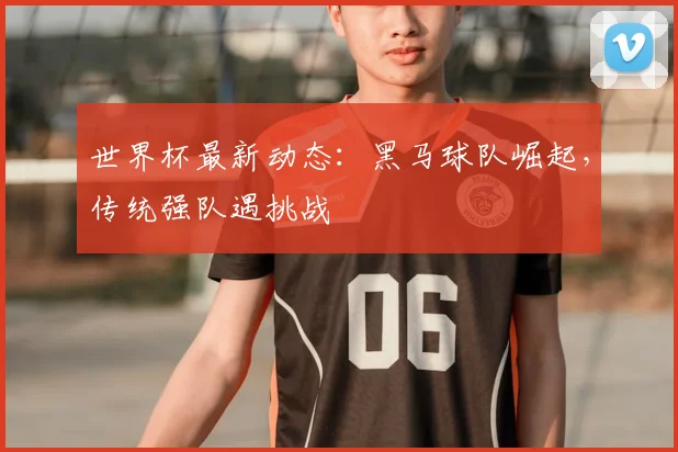 世界杯最新动态：黑马球队崛起，传统强队遇挑战