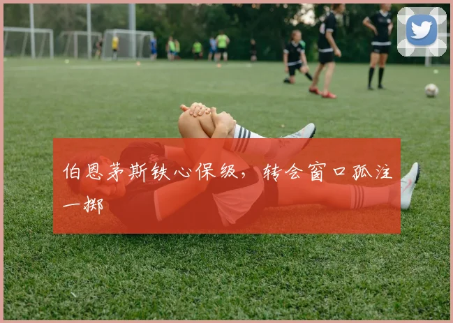 伯恩茅斯铁心保级,转会窗口孤注一掷
