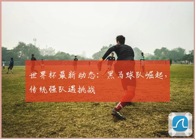 世界杯最新动态:黑马球队崛起,传统强队遇挑战